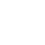 Mobile inventory counting 